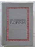 Pustynia